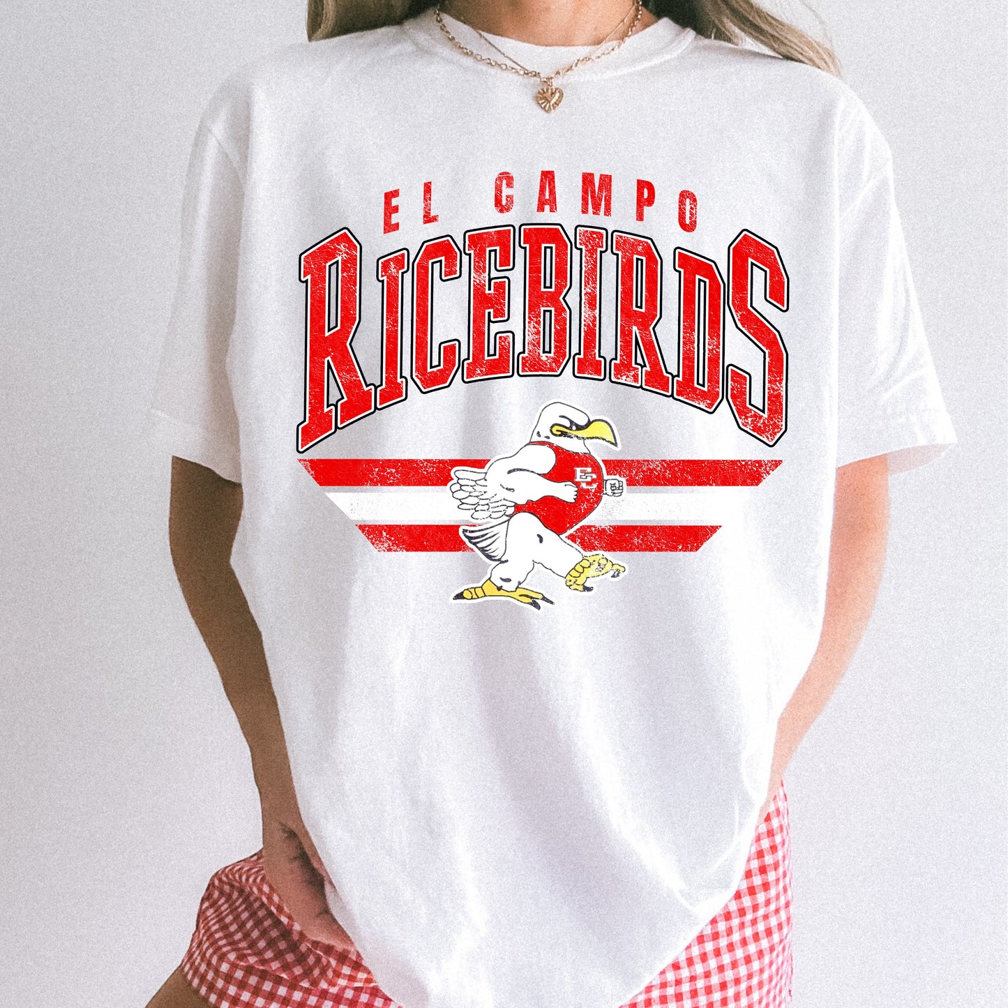 Retro Vibes Team Tee or Sweatshirt - Ricebirds, Pioneers & More