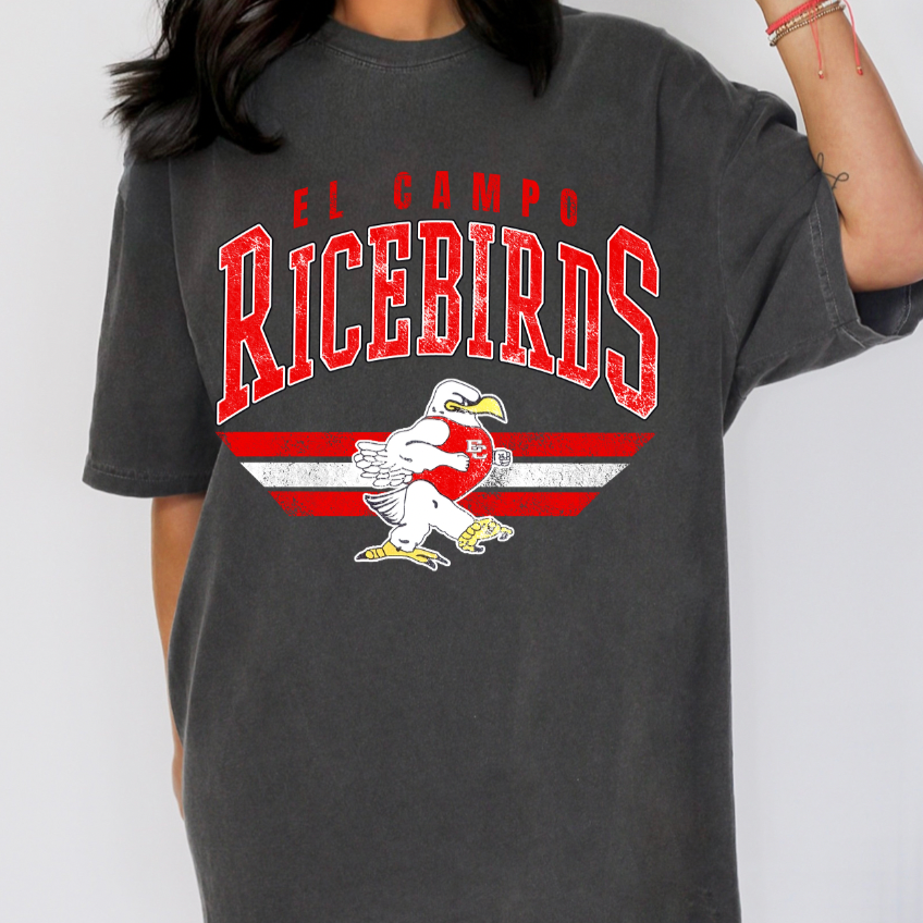 Retro Vibes Team Tee or Sweatshirt - Ricebirds, Pioneers & More