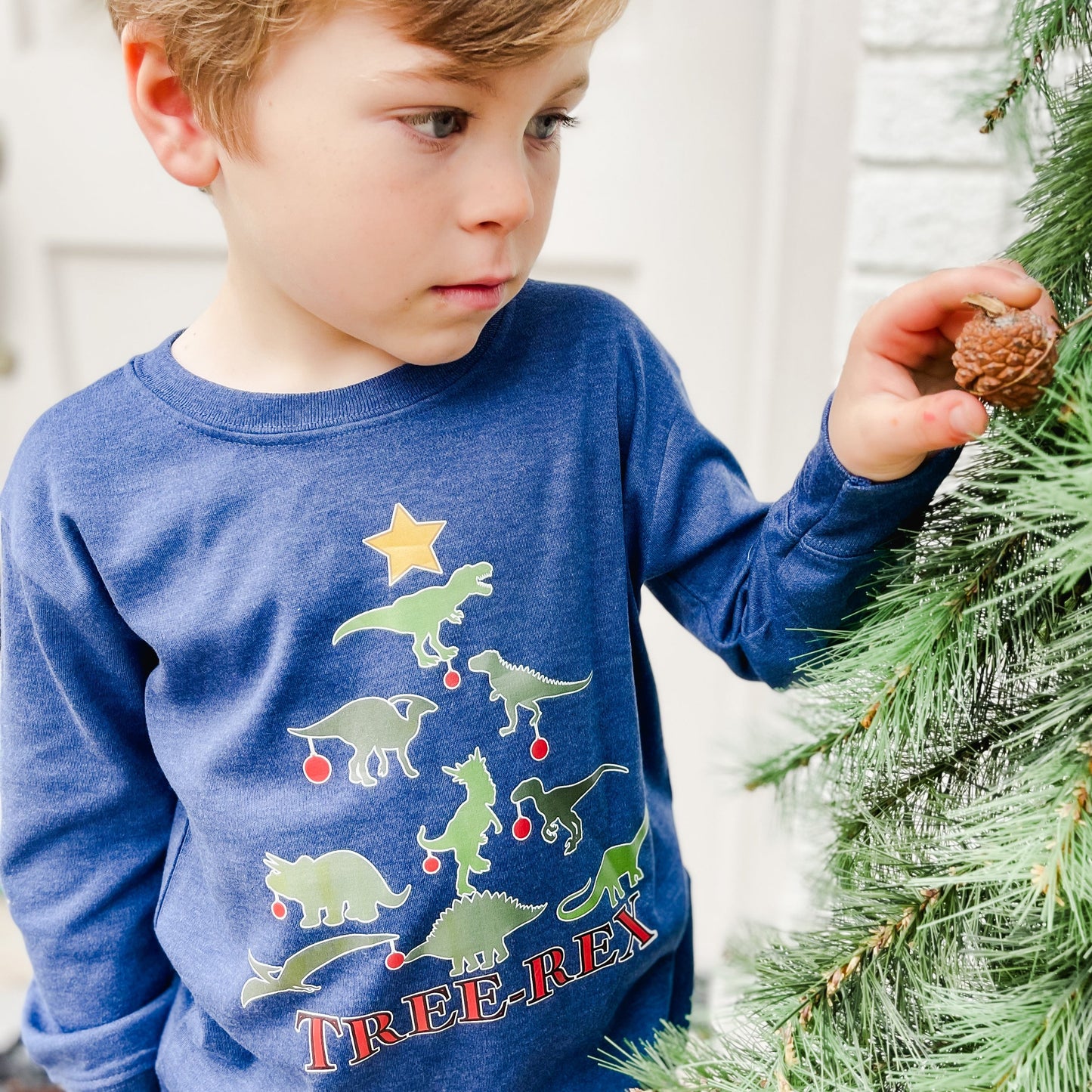 Boys Tree-Rex Pullover