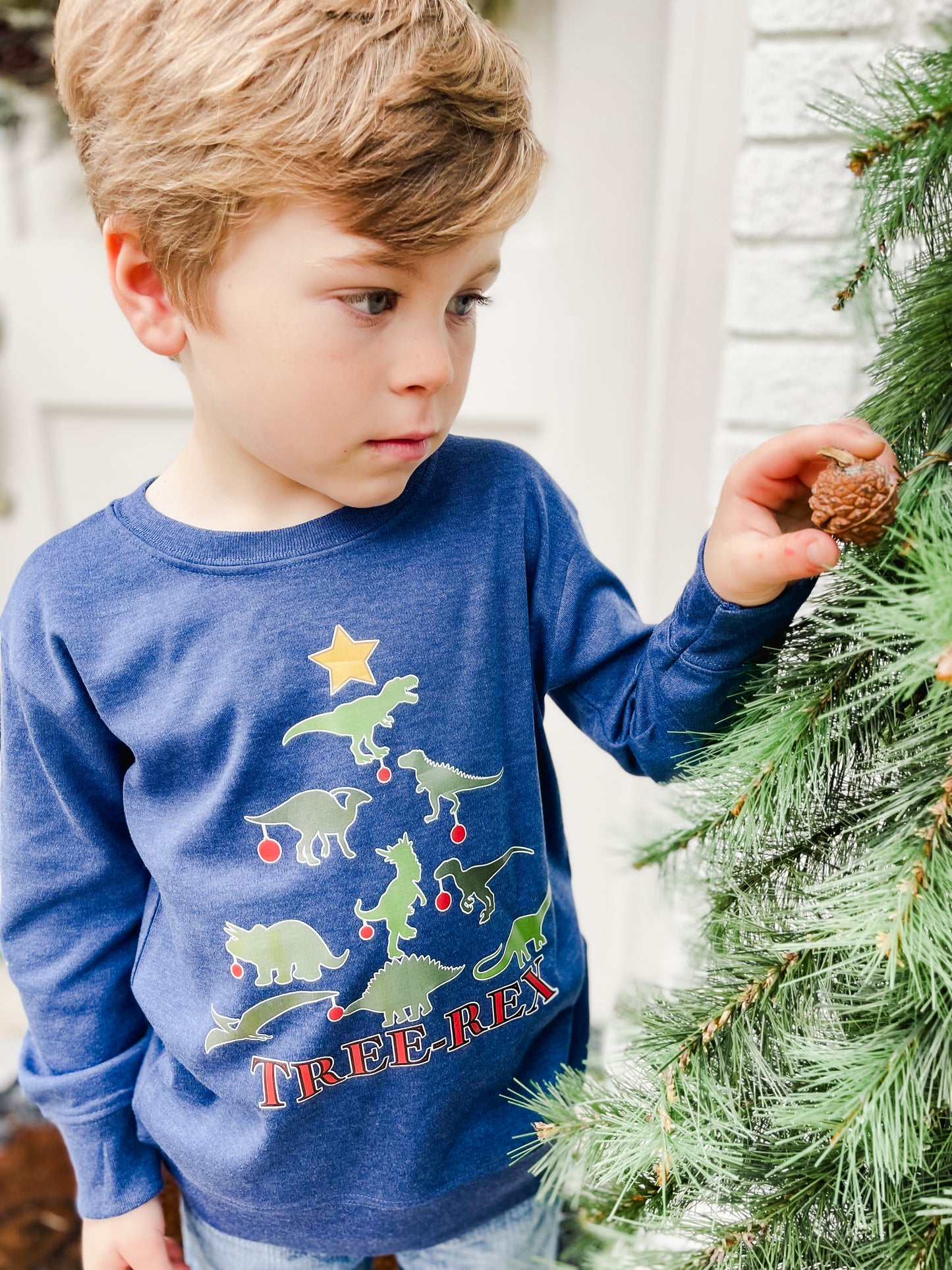 Boys Tree-Rex Pullover