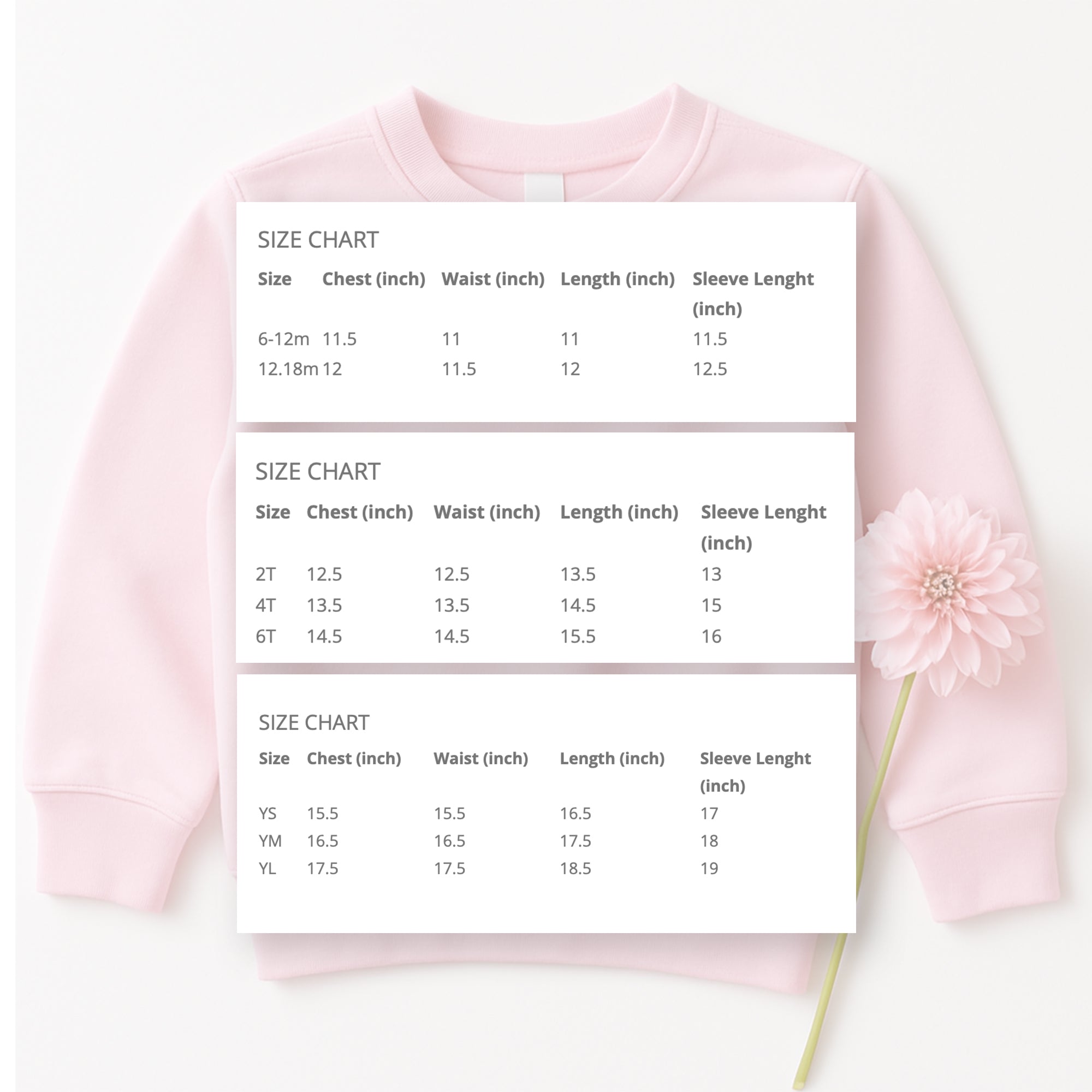 Dance Pizzazz - Pale Pink Crewneck Sweatshirt - Youth & Adult